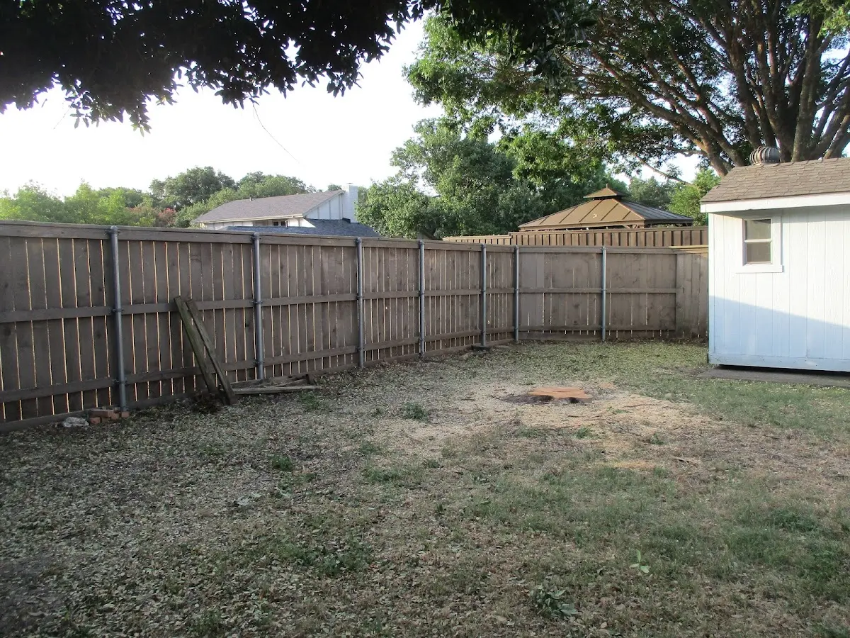 Cleared yard after professional tree removal in French Creek