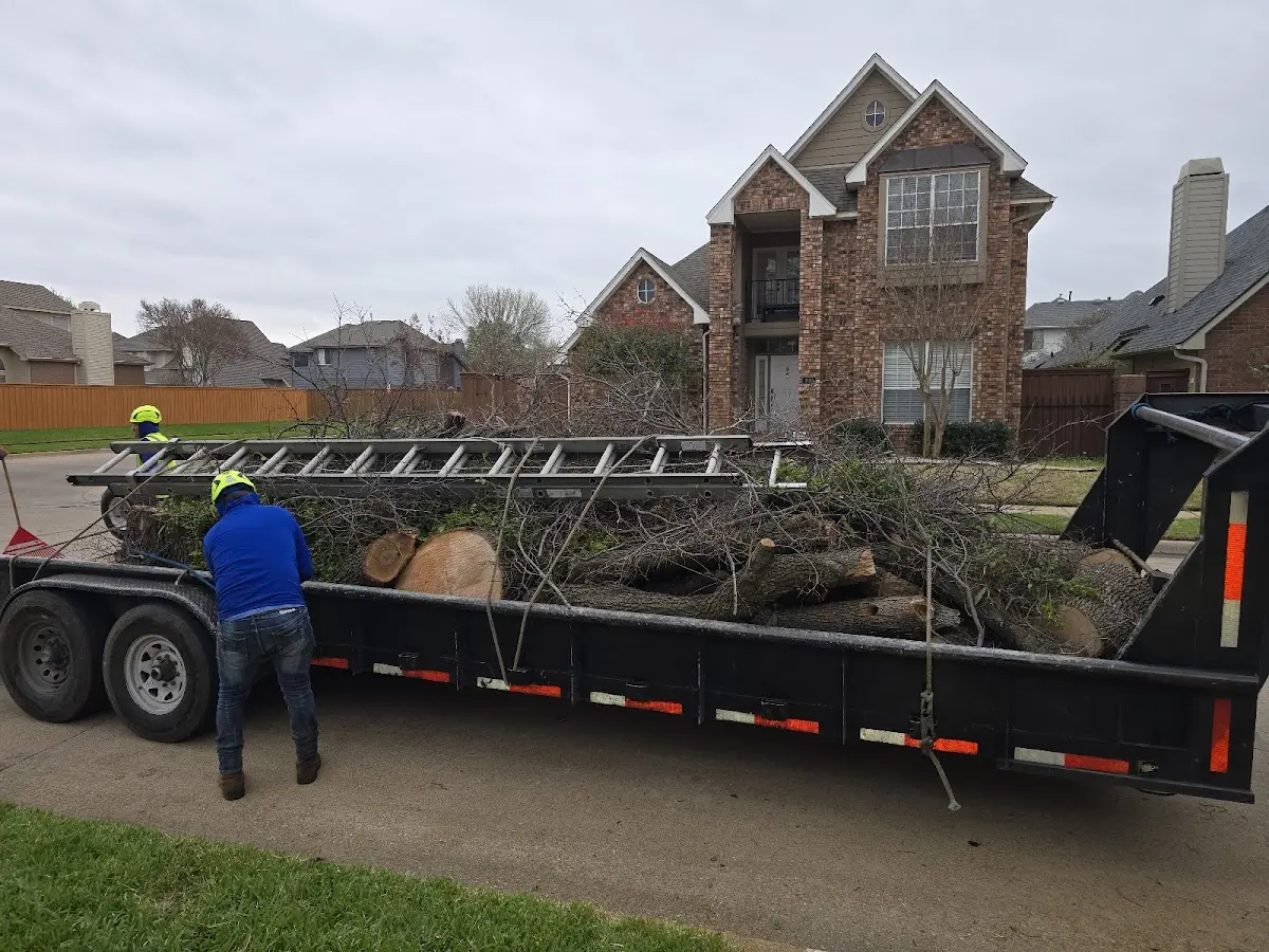 Expert Tree Removal with proper safety equipment in French Creek